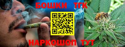 стаф Кулебаки