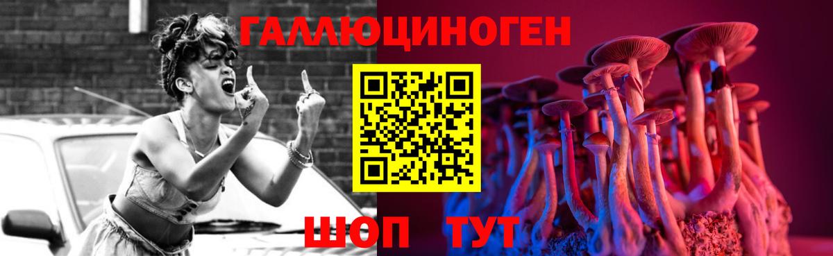 Каменка  продажа наркотиков  Вход с VPN  Псилоцибиновые грибы MAGIC MUSHROOMS 